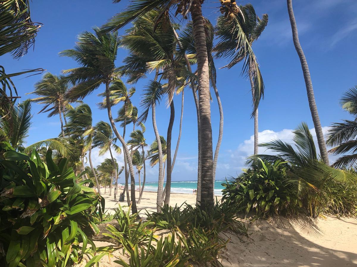 Terraza Art Villa Dominicana Punta Cana Eksteriør billede